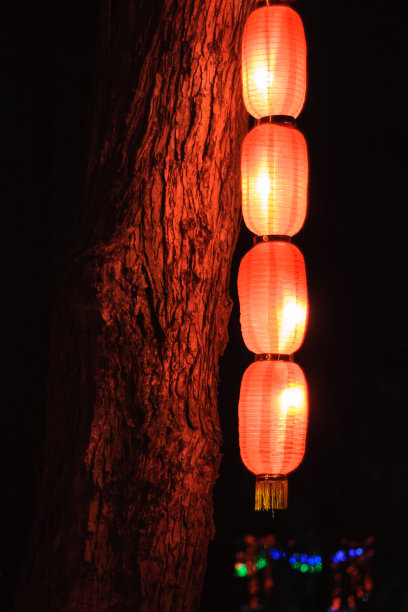 橙色的原中国腊肠形状的灯笼，在夜晚垂直悬挂在树上，照亮了树皮图片下载