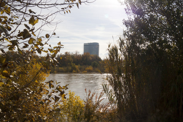 在一个阳光明媚的日子里，西班牙萨拉戈萨的埃布罗河后面的托雷德尔阿瓜图片下载