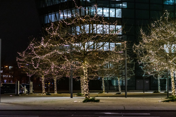 维也纳的圣诞树图片下载