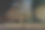 维也纳的圣诞树图片下载