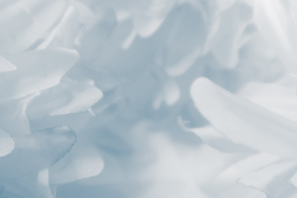 美丽抽象的颜色蓝色和白色的花背景和蓝色的花框架和粉红色和蓝色的叶子纹理背景图片下载