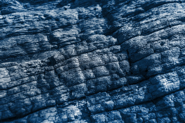 老木的背景。图片下载