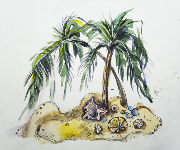 沙滩上的两棵棕榈树，在白色背景的贝壳中间。手绘插图图片下载