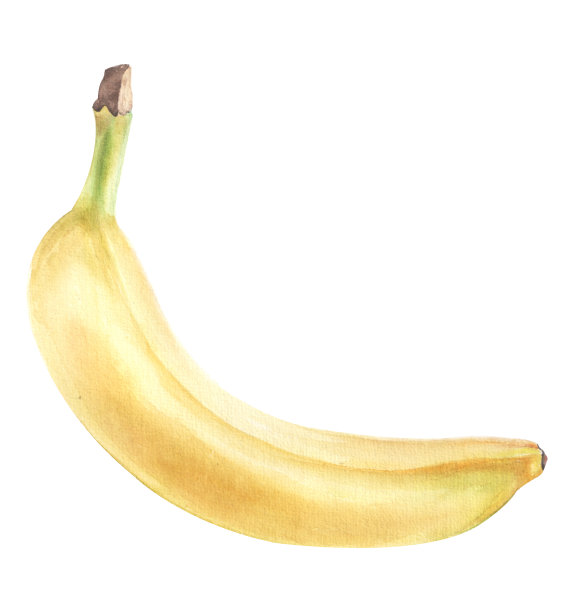 水彩香蕉，新鲜水果。“n图片下载