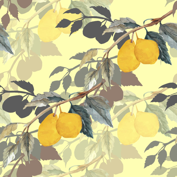 模式柠檬图片下载