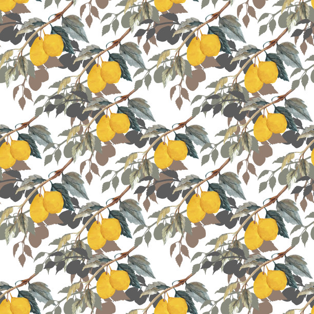 模式柠檬图片下载