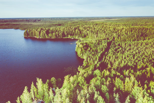 Kurjenrahka国家公园鸟瞰图。土。芬兰。北欧自然景观。北欧国家公园。无人机从上面拍摄的照片。图片下载