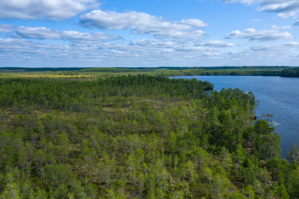 Kurjenrahka国家公园鸟瞰图。土。芬兰。北欧自然景观。北欧国家公园。无人机从上面拍摄的照片。图片下载