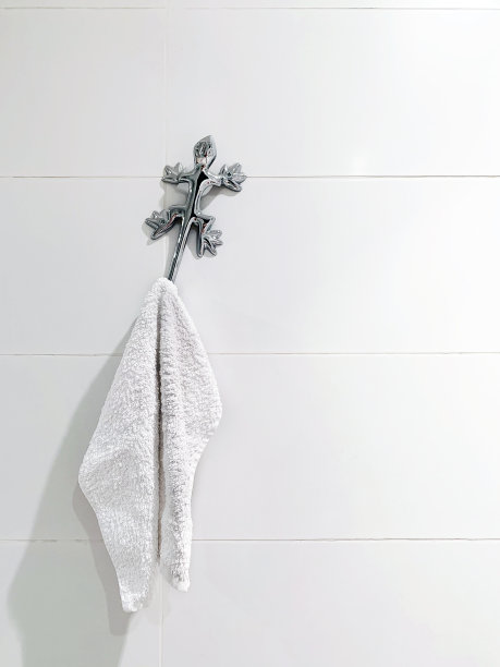 金属衣架形蜥蜴，毛巾钩图片下载