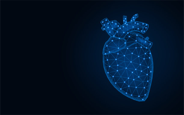 人体心脏低多边形模型，人体器官抽象图形，解剖多边形线框矢量图在深蓝色的背景图片下载