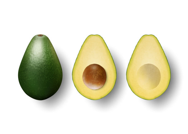 矢量3d现实的整个和一半鳄梨设置与种子特写孤立在白色背景。设计模板，食物，健康，饮食概念。俯视图图片下载