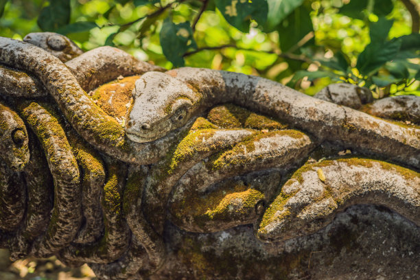 印度尼西亚巴厘岛乌布圣猴森林的Stutue图片下载