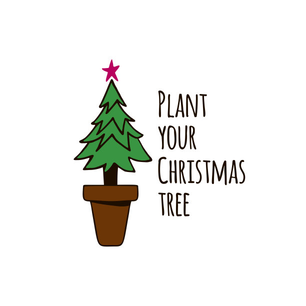 花盆里的圣诞树图片下载