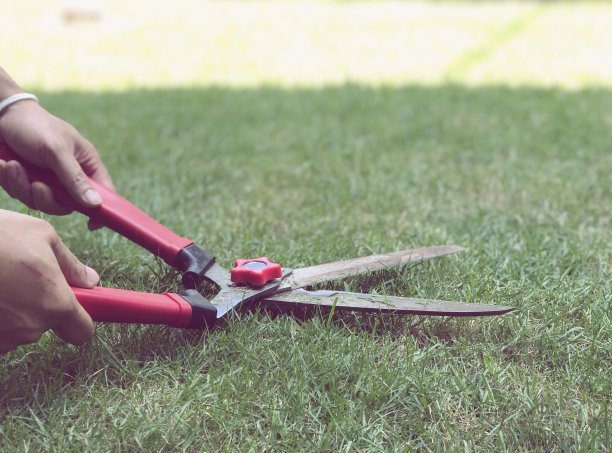 对冲剪，用于割草手动对冲剪图片下载