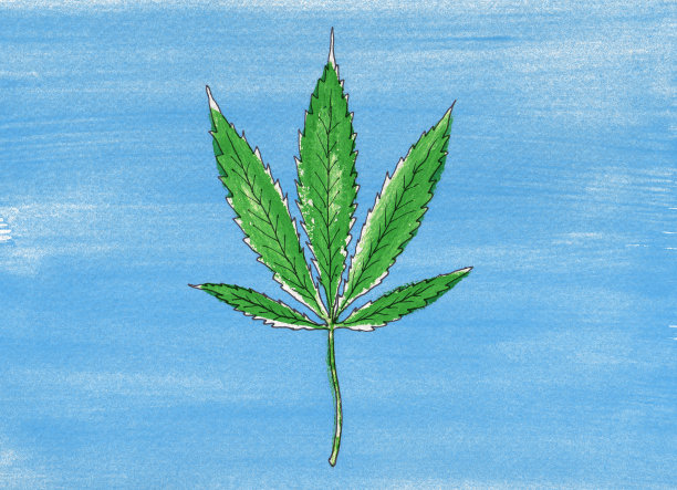 单个大麻叶子的插图图片下载