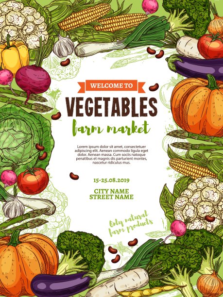 蔬菜豆类，新鲜农家菜速写图片下载