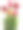 白色背景上的红黄郁金香。手绘插图图片下载