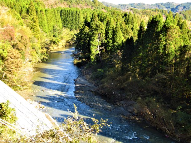 秋天在日本。博索半岛，千叶。这里有许多美丽的河流穿过这片原始森林。图片下载