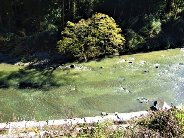 秋天在日本。博索半岛，千叶。这里有许多美丽的河流穿过这片原始森林。图片下载