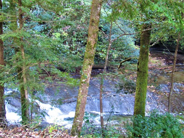 12月。日本千叶市博索半岛的秋季森林，有小河和瀑布。图片下载