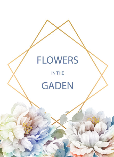 水彩花卉元素的组合图片下载