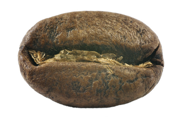 咖啡豆图片下载