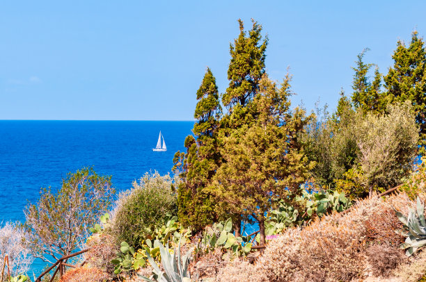 经典的白色帆船漂浮在长满南方植物和树木的岩石海岸附近。意大利特罗佩亚第勒尼安海图片下载