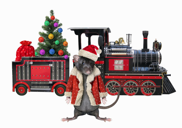 老鼠靠近圣诞火车2图片下载