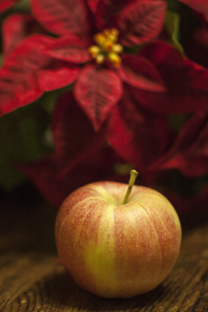 圣诞节组成图片下载