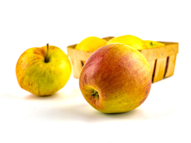 苹果在白色背景与文字的地方。图片下载