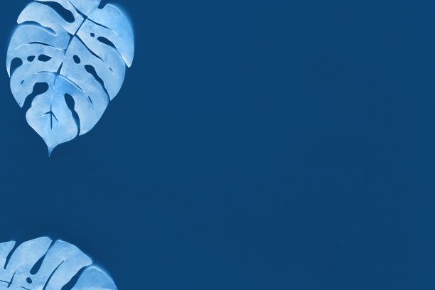 2020年流行色图片素材ID：348020406