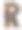 手写字母R与浣熊图片下载