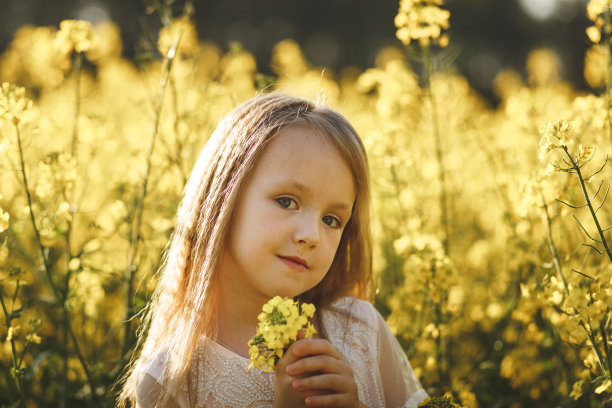 穿着白色长裙的女孩在油菜田里图片下载