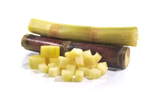 糖业狗。图片下载