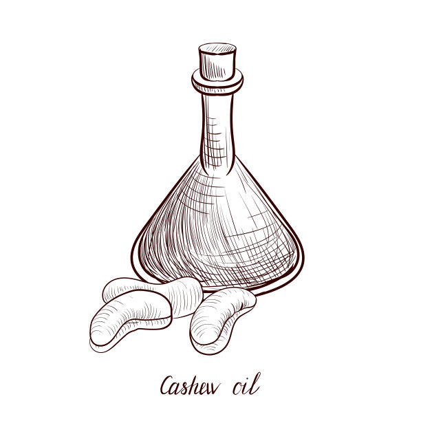 矢量绘图腰果油图片下载