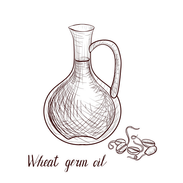 矢量绘制小麦胚芽油图片下载