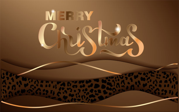 矢量插图圣诞字母。邀请模板，3d剪纸与时尚豹纹图片下载