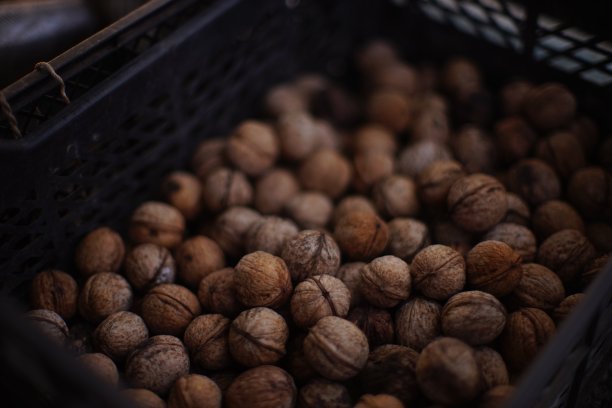 有很多剥了皮的核桃。图片下载