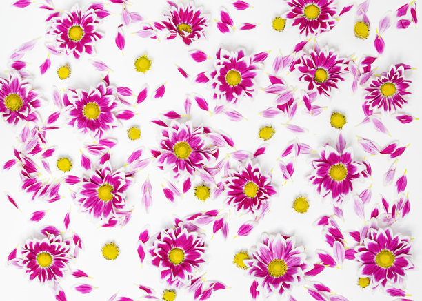 粉红色花的图案图片下载