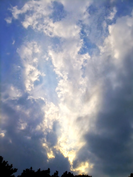 出现光图片下载