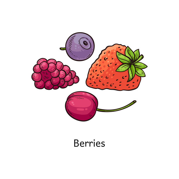 彩色浆果画集手绘草莓，蓝莓，覆盆子和樱桃收集图片下载