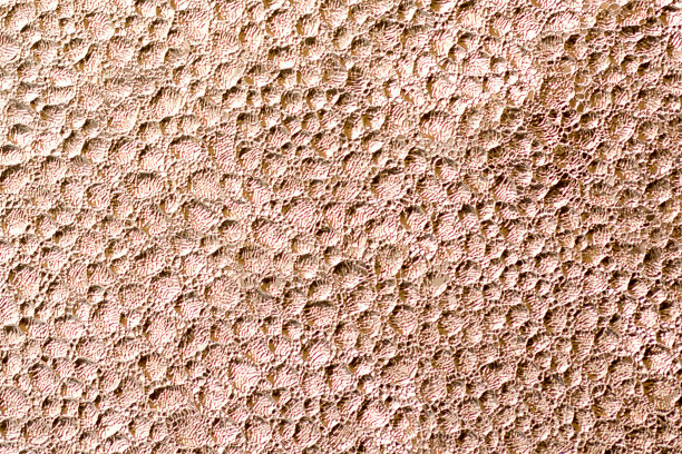 黄金窗口霜图片下载