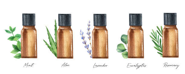 水彩矢量集玻璃气泡与精油。图片下载