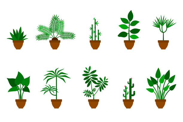 家，办公室鲜花矢量图标插图设置。绿色植物在棕色陶罐平风格的设计收集在白色的背景图片下载