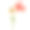 花的背景。百合花。花束。橙色。白色绿色的树叶。花。图片下载