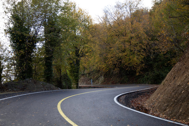 在秋天转弯，柏油路景色图片下载
