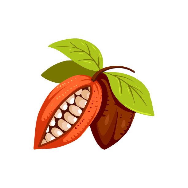 可可豆孤立插图，卡通风格。图片下载