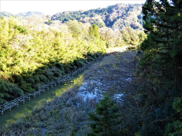 秋天在日本。博索半岛，千叶。这里有许多美丽的河流穿过这片原始森林。图片下载