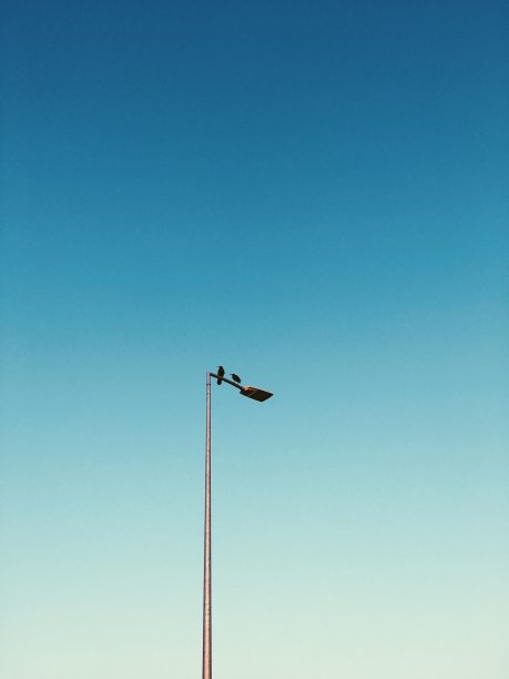 在蓝色天空的映衬下，灯柱上戴着头罩的乌鸦。图片下载