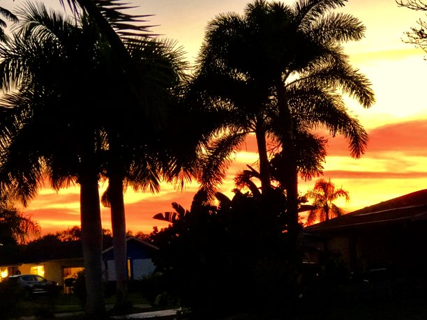 热带日落图片下载